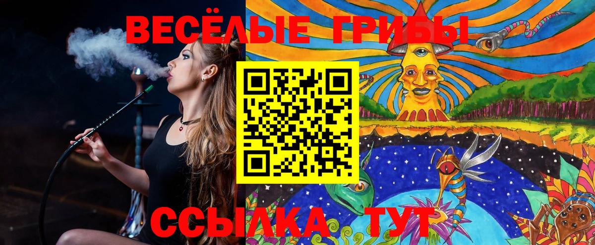 Псилоцибиновые грибы Cubensis Химки