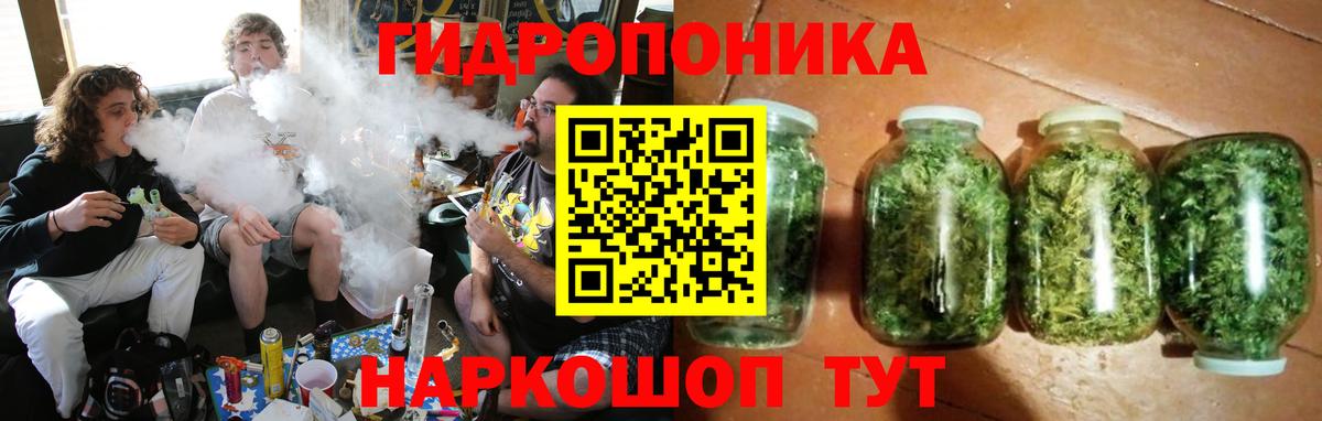 Каннабис MAZAR Химки